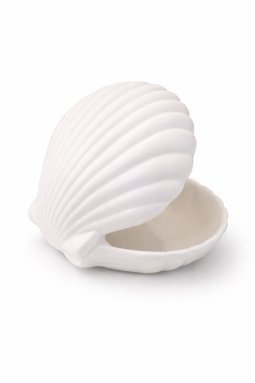 Concha Decorativa