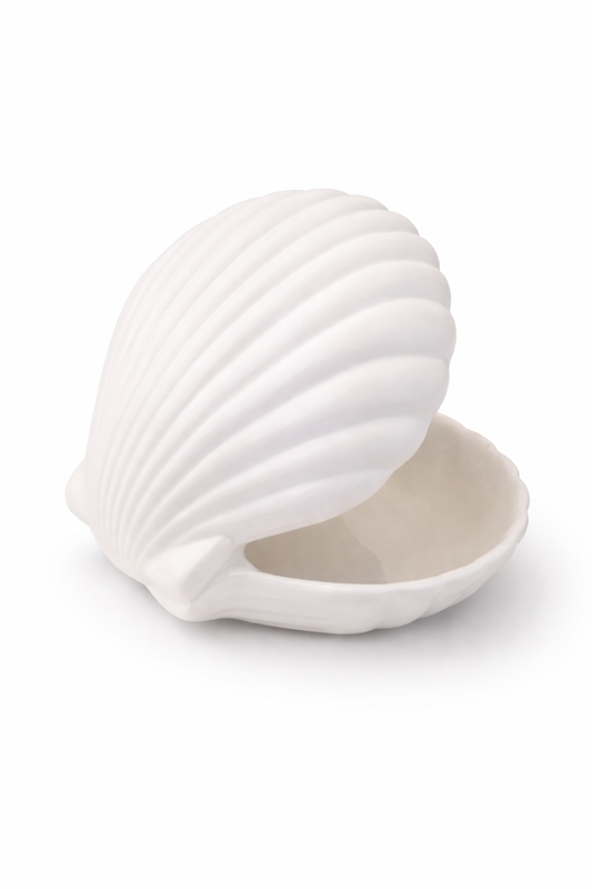 Concha Decorativa